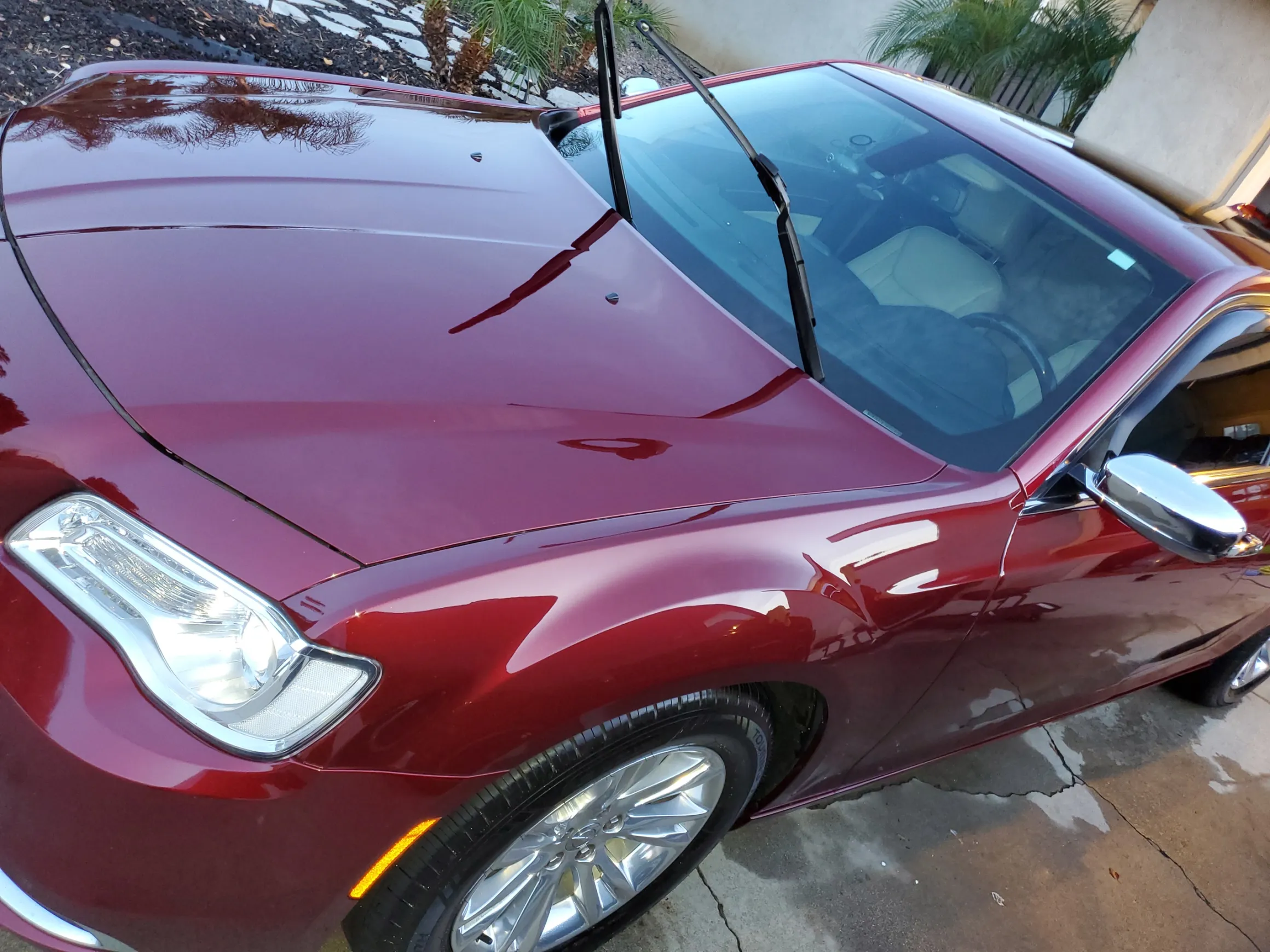 Burgundy convertible with top down parked in driveway near palm trees